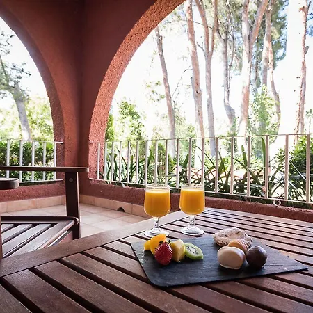 Intelier Bonaire Benicassim